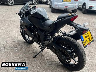 Kawasaki  Ninja 125 picture 4