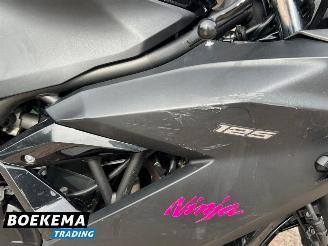Kawasaki  Ninja 125 picture 12