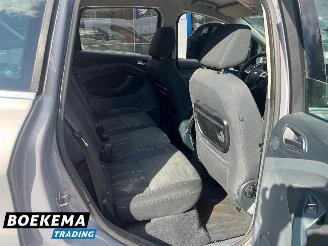 Ford C-Max 1.6 SCTi Titanium Climate Cruise PDC Trekh. picture 11