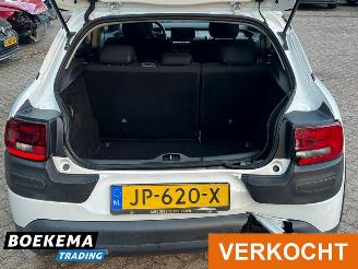 Citroën C4 cactus 1.2 PureTech Shine Virtual Navi Climate Cruise PDC picture 10