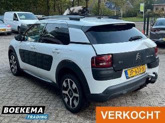 Citroën C4 cactus 1.2 PureTech Shine Virtual Navi Climate Cruise PDC picture 3