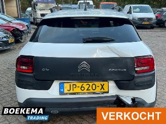 Citroën C4 cactus 1.2 PureTech Shine Virtual Navi Climate Cruise PDC picture 5