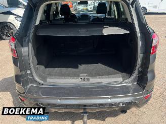 Ford Kuga 1.5 EcoBoost Vignale 180PK Stoel- en stuur verwarming MemoryNavi picture 21