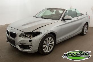 škoda osobní automobily BMW 2-serie 220 cabrio Automaat Navi 2015/3
