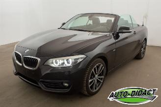 Auto incidentate BMW 2-serie 218i Cabrio Clima Navi CARPAS 2017/8