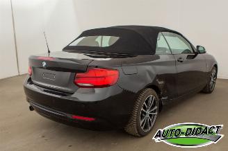 BMW 2-serie 218i Cabrio Clima Navi CARPAS picture 8