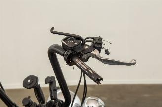 Harley-Davidson  FLSTC picture 21