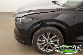 Mazda CX-5 2.0 SAG Automatic 2WD 165 Takumi picture 43