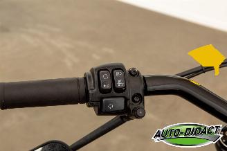 Harley-Davidson  Street 114 70kw 5770 km picture 6