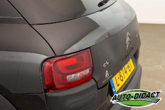 Citroën C4 cactus 1.6 BlueHDi Navi Clima Camera Business Plus picture 31