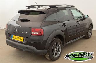 Citroën C4 cactus 1.6 BlueHDi Navi Clima Camera Business Plus picture 4