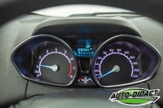 Ford EcoSport 1.0 EcoBoost Trend picture 7