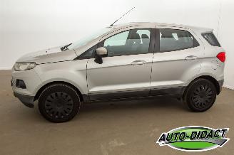 Ford EcoSport 1.0 EcoBoost Trend picture 35