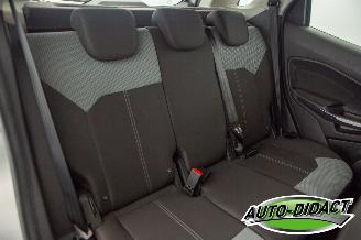 Ford EcoSport 1.0 EcoBoost Trend picture 25