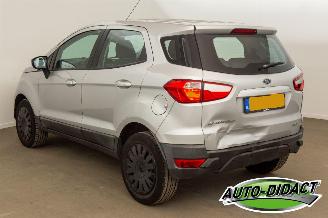 Ford EcoSport 1.0 EcoBoost Trend picture 3