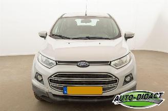 Ford EcoSport 1.0 EcoBoost Trend picture 33