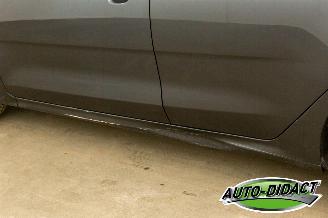 Kia Rio 1.0 Automaat Camera Clima Invalidebesturing picture 31