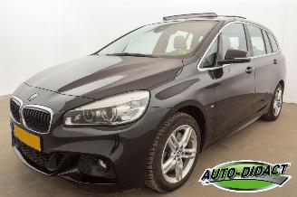  BMW 2-serie Gran Tourer 220i Automaat 7p Pano Leder Centennial High Executive 2016/3