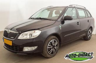krockskadad bil auto Skoda Fabia 1.2 TDI Greenline Airco 2011/6