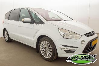 Ford S-Max 2.0 EcoBoost Automaat 7pers Clima Titanium picture 2