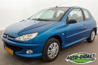 Damaged car Peugeot 206 1.4 Forever 2007/7