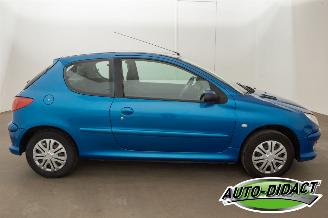 Peugeot 206 1.4 Forever picture 37