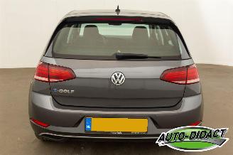 Volkswagen e-Golf 36 kWh Navi Camera Clima picture 34
