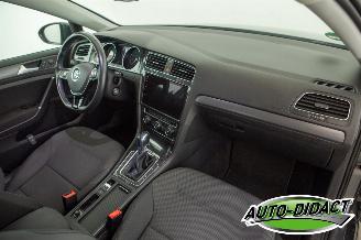 Volkswagen e-Golf 36 kWh Navi Camera Clima picture 19