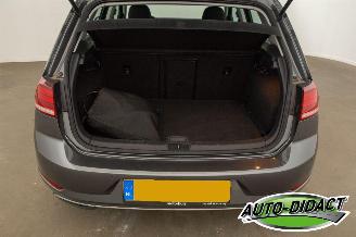 Volkswagen e-Golf 36 kWh Navi Camera Clima picture 35