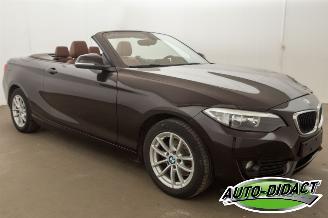 BMW 2-serie Cabrio 218i Navi Leder Airco picture 2