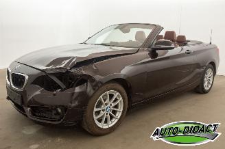 skadebil auto BMW 2-serie Cabrio 218i Navi Leder Airco 2015/7