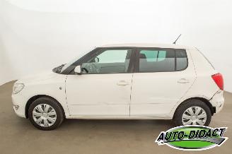 Skoda Fabia Automaat - Airco - 1.2 picture 27