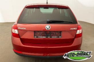 Skoda Rapid 1.6 TDI 77 kW Clima Navi Ambition picture 38