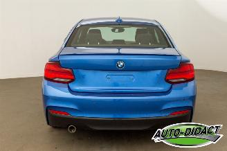 BMW 2-serie 218d Automaat Leder Navi Schuifdak picture 24