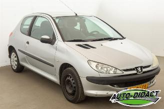 Peugeot 206 1.4 Automaat Pop Art picture 2