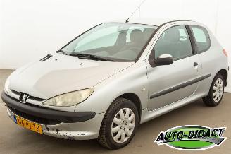 Peugeot 206 1.4 Automaat Pop Art picture 1