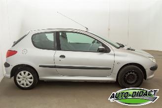 Peugeot 206 1.4 Automaat Pop Art picture 26