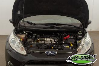 Ford Fiesta 1.6 TDCi Clima ECOnetic Trend picture 26
