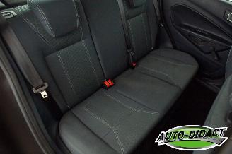 Ford Fiesta 1.6 TDCi Clima ECOnetic Trend picture 13