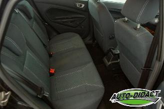 Ford Fiesta 1.6 TDCi Clima ECOnetic Trend picture 14