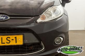Ford Fiesta 1.6 TDCi Clima ECOnetic Trend picture 25