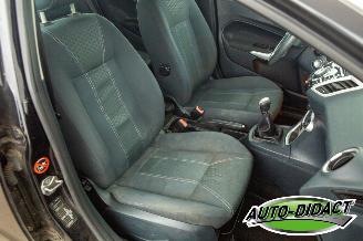 Ford Fiesta 1.6 TDCi Clima ECOnetic Trend picture 11