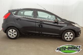 Ford Fiesta 1.6 TDCi Clima ECOnetic Trend picture 31