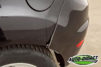 Ford Fiesta 1.6 TDCi Clima ECOnetic Trend picture 23