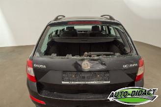 Skoda Octavia 1.6 TDI Clima Ambition picture 26