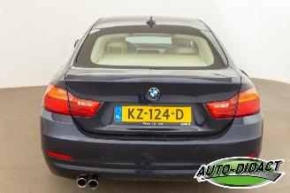 BMW 4-serie 420i Automaat Leder Centennial High Executive picture 28