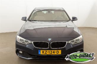 BMW 4-serie 420i Automaat Leder Centennial High Executive picture 27