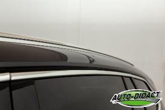 Skoda Enyaq 80 kWh Nvi Camera iV 80 Limited Edition picture 31