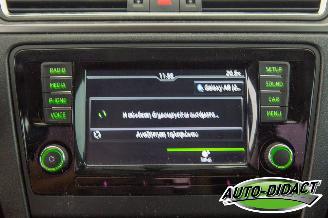 Skoda Rapid 1.6 TDI Clima Greentech Ambition picture 7