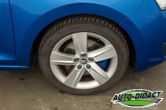 Skoda Rapid 1.6 TDI Clima Greentech Ambition picture 32